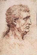 LEONARDO da Vinci Profile of a man oil
